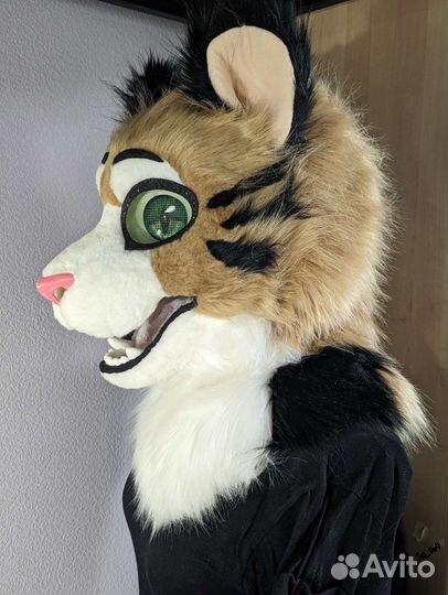 Фурсьют кота, тигра