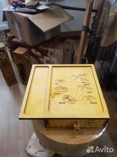 Муравьиные фермы