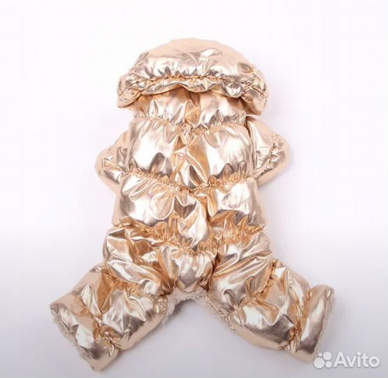 Одежда для собак мелких пород