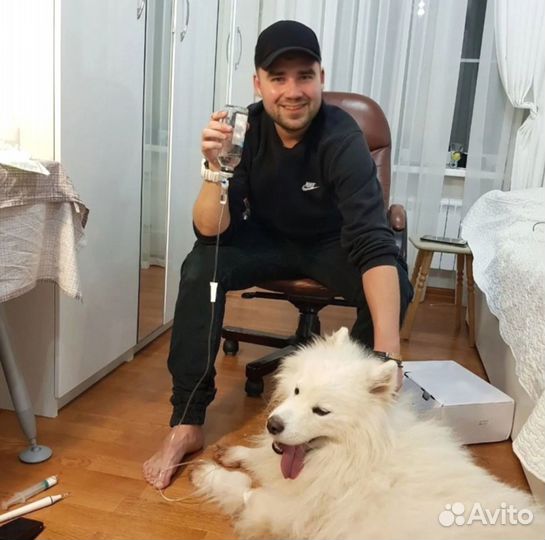 Вызов ветеринара на дом