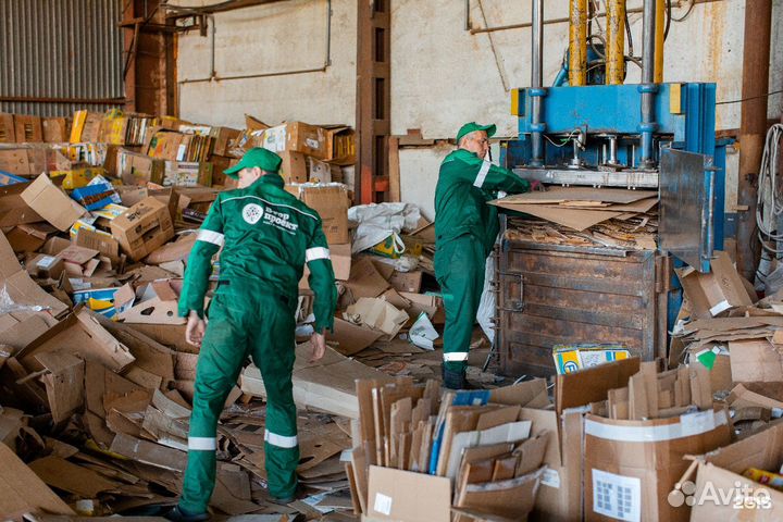 Грузчик разнорабочий с ежедневной оплатой