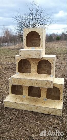 Гнездо для кур с яйцесборником