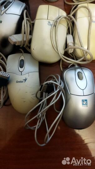 Мыши компьютерные пакетом