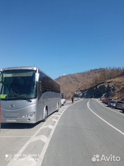 Водитель автобуса