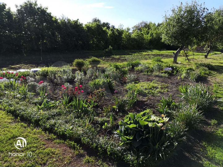 Дом 56 м² на участке 46 сот.