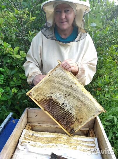 Мед натуральный