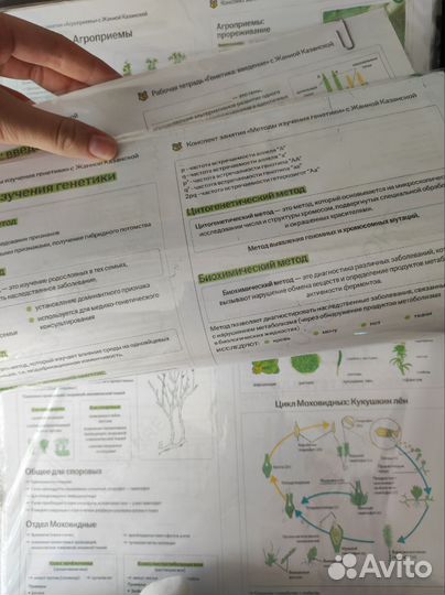 Конспекты ЕГЭ биология