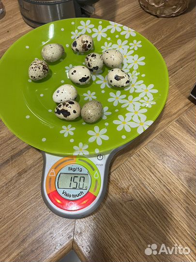 Яйца домашних перепелок