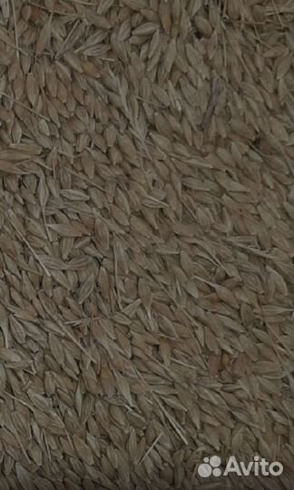 Овес(продуктовый), горох, пшеница, ячьмень, гречка