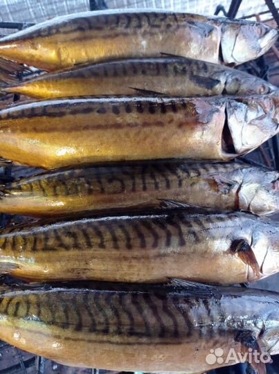 Рыба горячего копчения