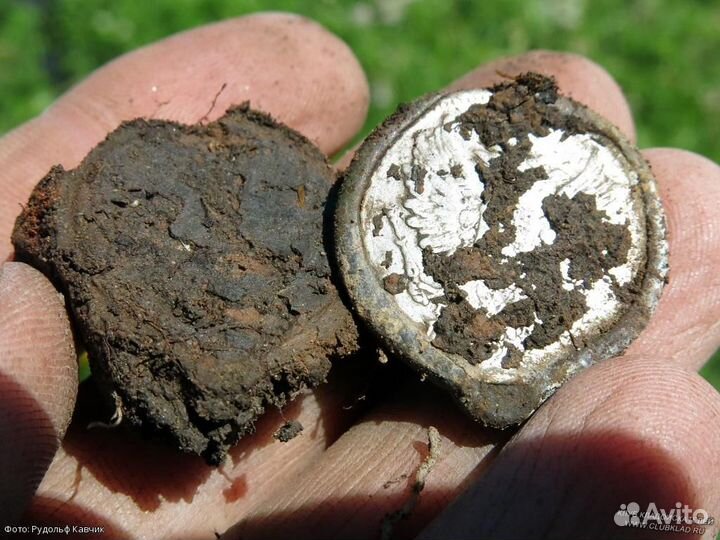 Металлоискатель Minelab GO-Find 11 в Твери