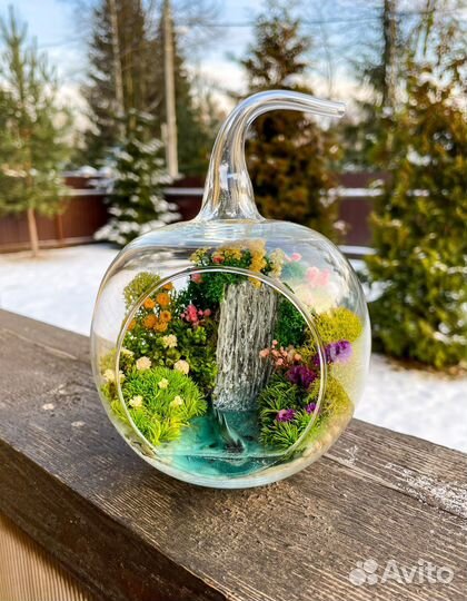 Моссариум в форме яблочко с рыбой, флорариум