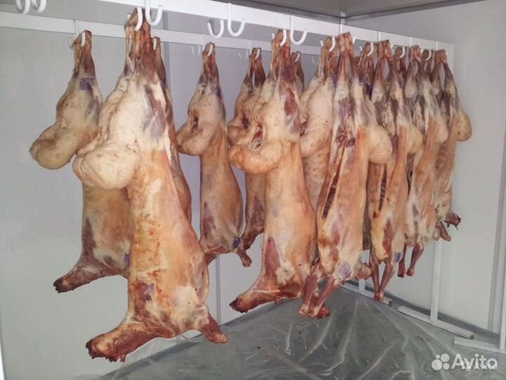Свежее мясо баранина