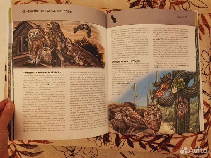 Птицы полная энциклопедия детская книга