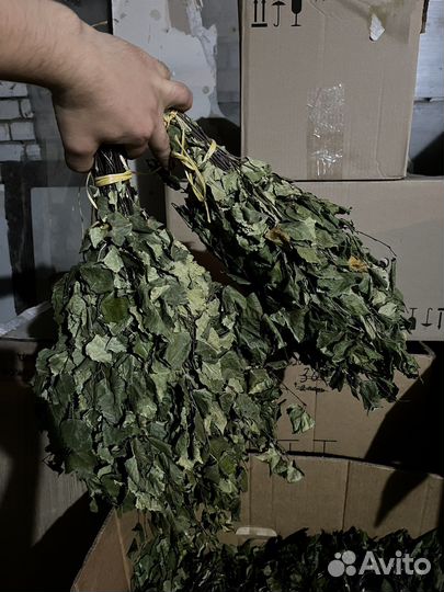 Ваники березрвые и березовые с травами