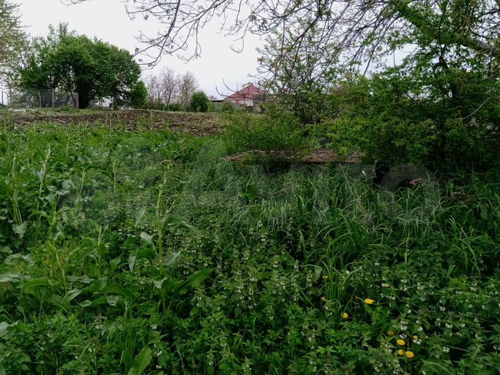 Участок 24 сот. (ИЖС)