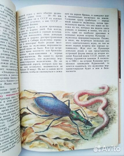 Насекомые красной книги СССР. Книга