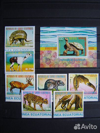 Фауна. Выпуски Экваториальной Гвинеи