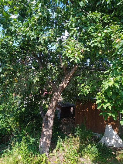 Дом 35 м² на участке 3 сот.