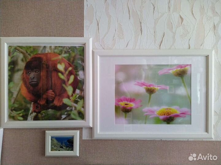 Рамы для картин, фотографий Икеа