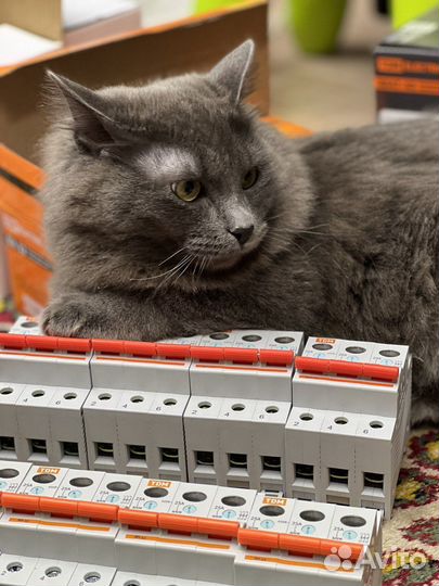 Проект эом, водоснабжения и канализации