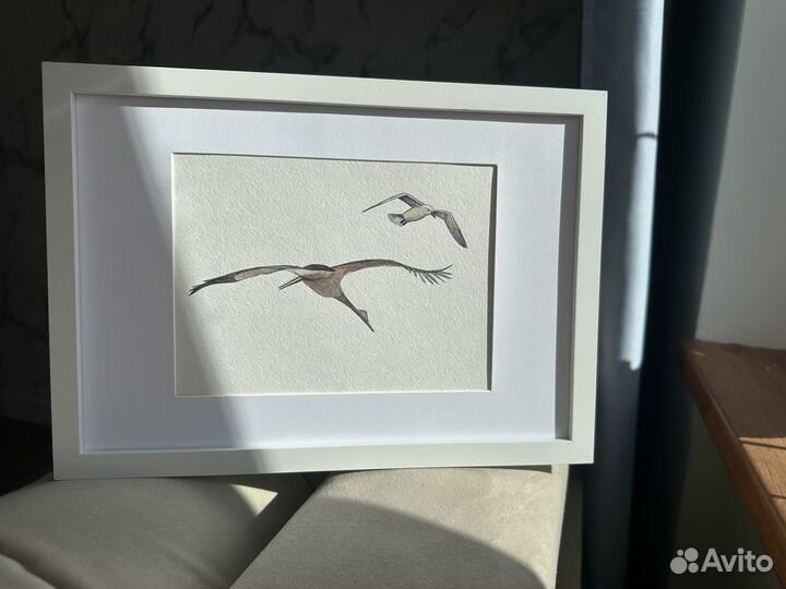 Картина акварелью птицы