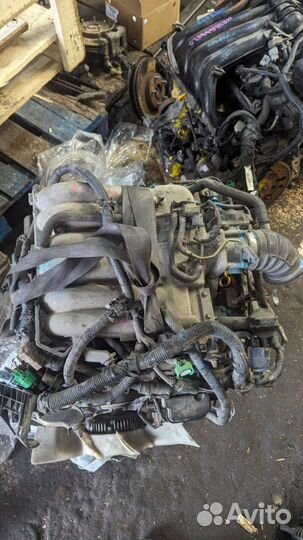 Двигатель Nissan Elgrand E51 VQ35DE 2006