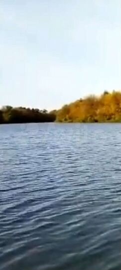 Участок 41,2 сот. (ИЖС)