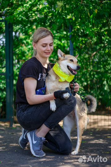 Чудесная девочка Кетрин бесплатно