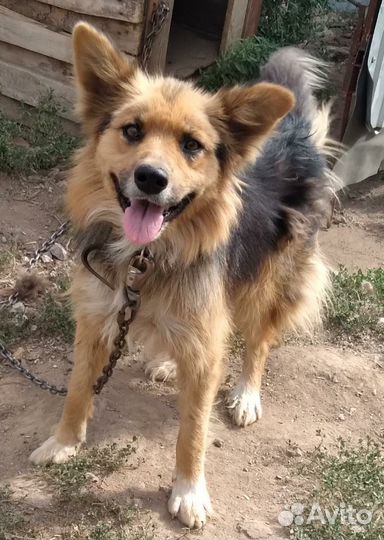 Не крупный мальчик