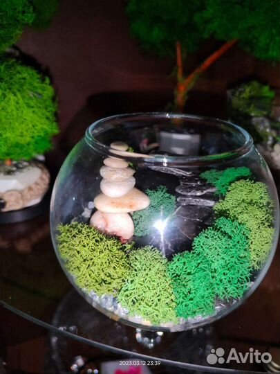 Моссариум со стабилизированным мхом.Декор.Подарок