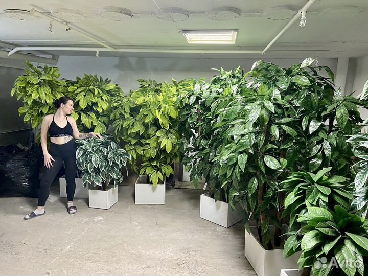 Искусственные деревья для бизнеса / озеленение