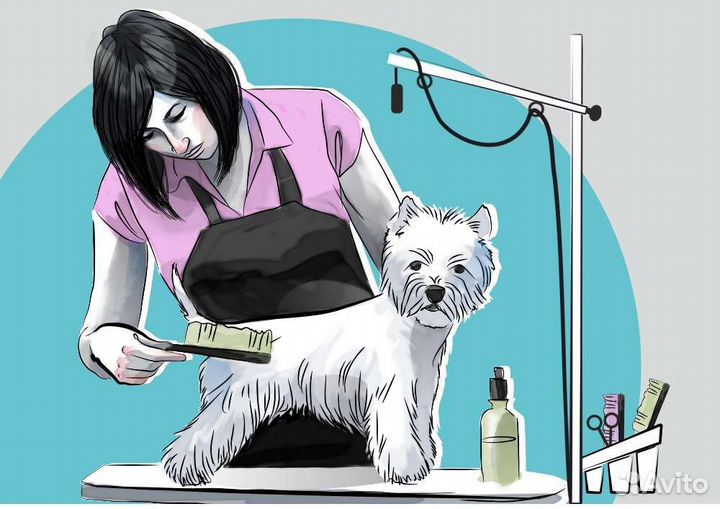 Стрижка собак и кошек