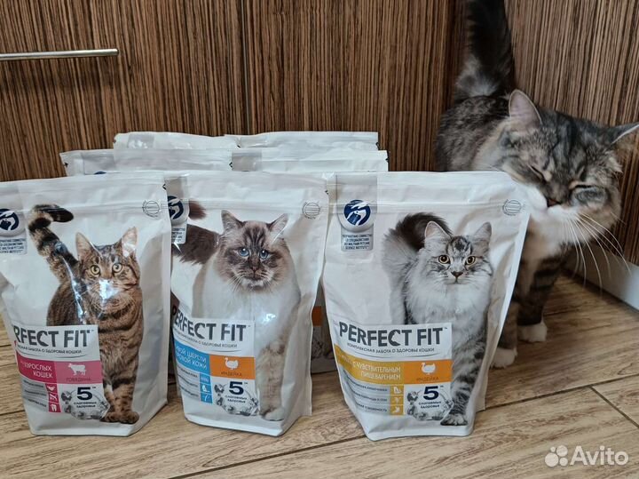 Сухой корм для кошек
