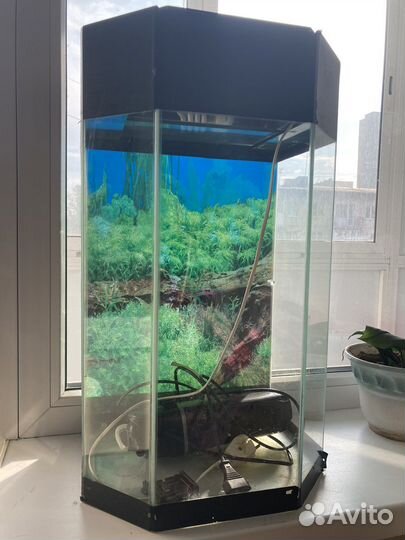 Аквариум