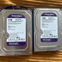 Жесткий диск Western Digital Purple 1 TB