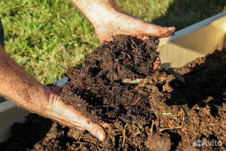 Навоз конский в мешках с доставкой