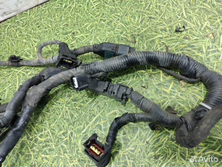 Проводка двигателя Kia Rio 2 хэтчбек 1.4 G4EE 2008