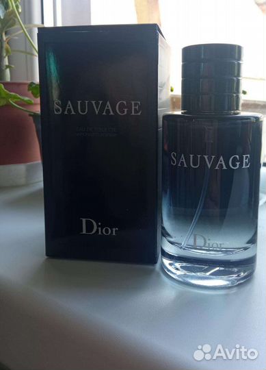 Рассада помидор