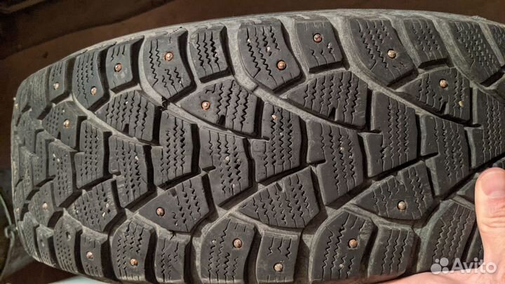 Matador MP 51 Sibir 2 195/65 R15