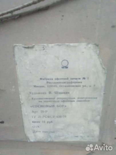 Картина И.Шишкина 