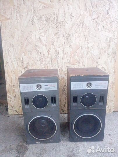 Колонки вега 50ас 104