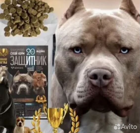 Сухой корм 20кг соц программа