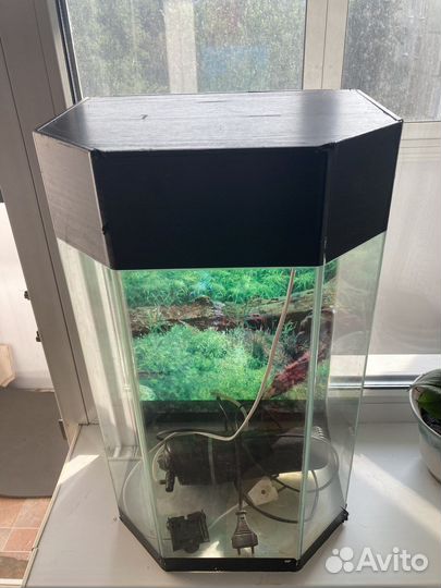 Аквариум