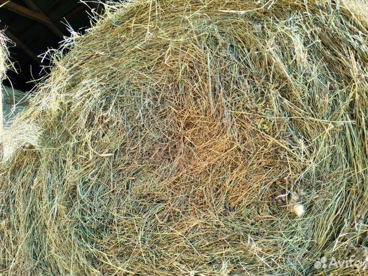 Сено в рулонах