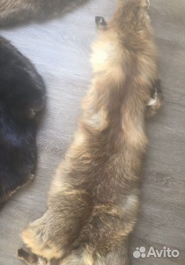 Шкура бобра(искусственная)