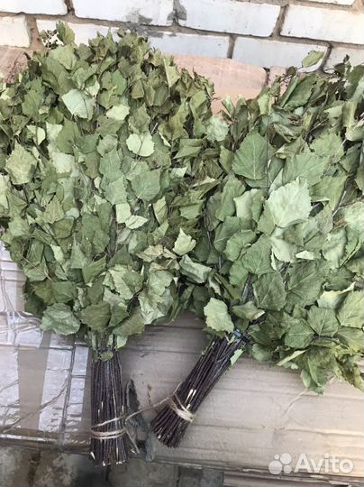 Веники дубовые, березовые, пихтовые