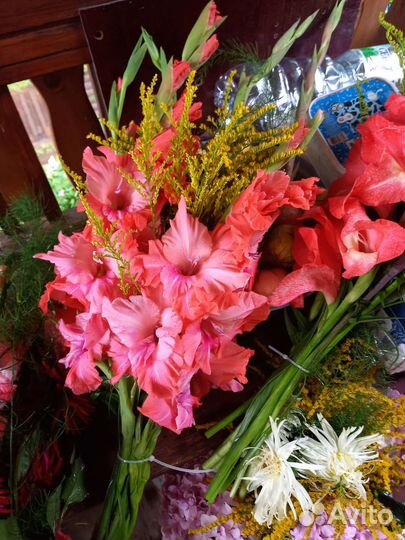 Гладиолусы,пионы хризантемы астильбы ромашки