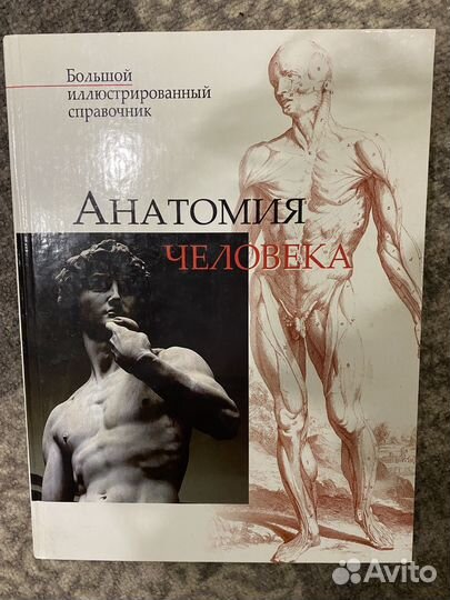 Книга Анатомия человека