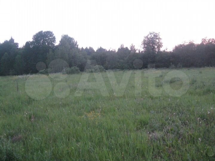 Участок 15 га (СНТ, ДНП)